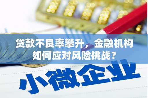 武威贷款不良率攀升，金融机构如何应对风险挑战？
