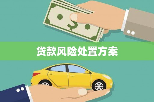 武威贷款风险处置方案