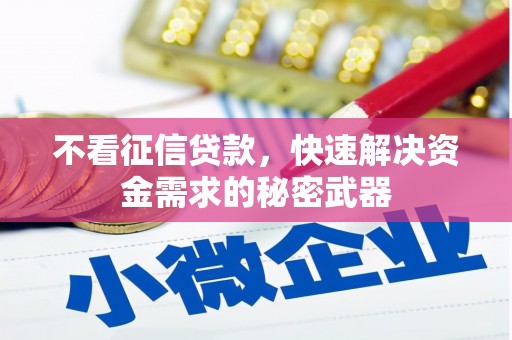 武威不看征信贷款，快速解决资金需求的秘密武器