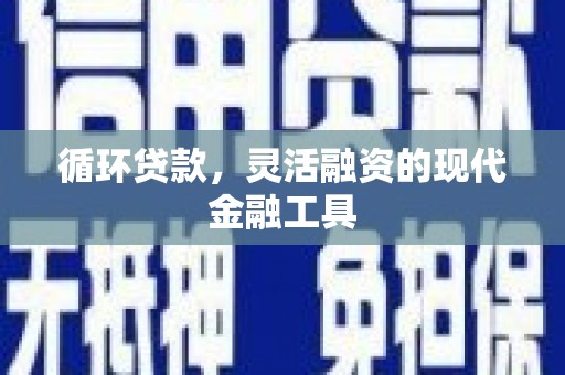 武威循环贷款，灵活融资的现代金融工具