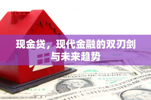 武威现金贷，现代金融的双刃剑与未来趋势