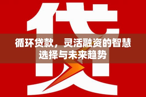 武威循环贷款，灵活融资的智慧选择与未来趋势