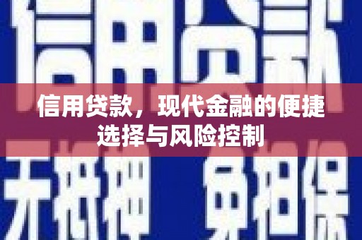 武威信用贷款，现代金融的便捷选择与风险控制