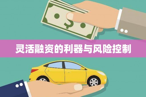 武威灵活融资的利器与风险控制