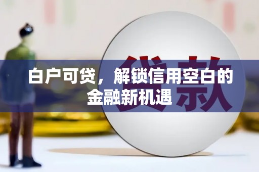 武威白户可贷，解锁信用空白的金融新机遇