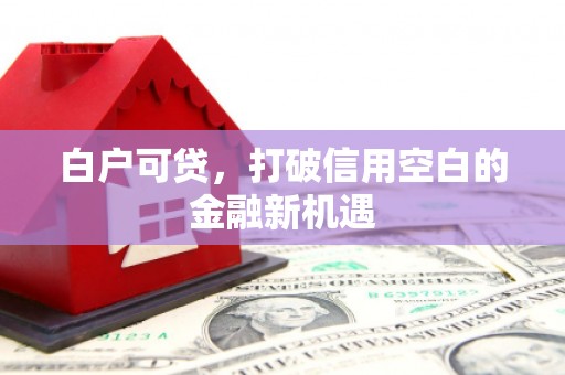 武威白户可贷，打破信用空白的金融新机遇