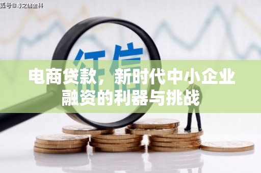 武威电商贷款，新时代中小企业融资的利器与挑战