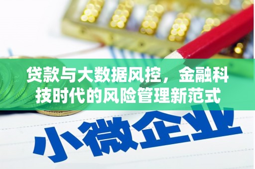 武威贷款与大数据风控，金融科技时代的风险管理新范式
