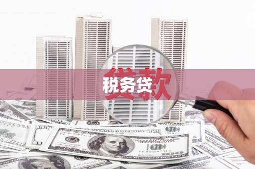 武威税务贷