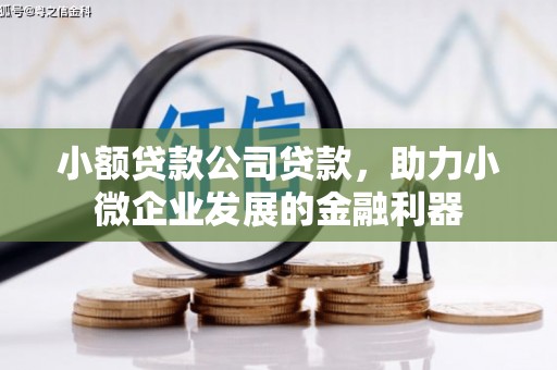 武威小额贷款公司贷款，助力小微企业发展的金融利器