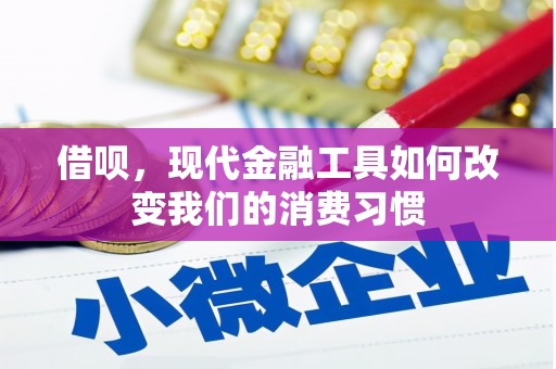 武威借呗，现代金融工具如何改变我们的消费习惯