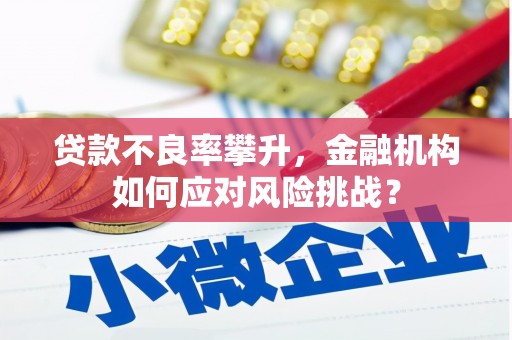 武威贷款不良率攀升，金融机构如何应对风险挑战？
