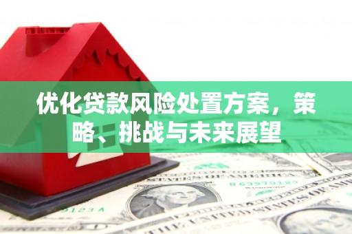武威优化贷款风险处置方案，策略、挑战与未来展望