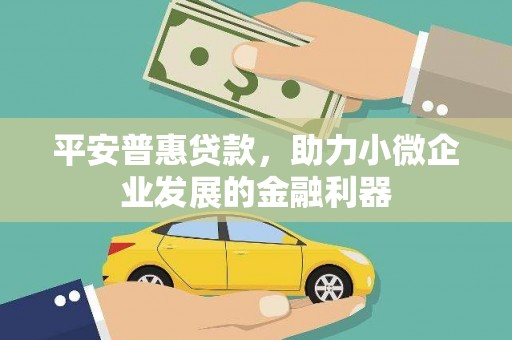 武威平安普惠贷款，助力小微企业发展的金融利器