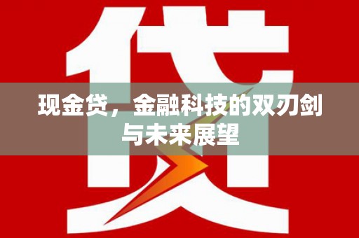 武威现金贷，金融科技的双刃剑与未来展望