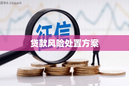 武威贷款风险处置方案