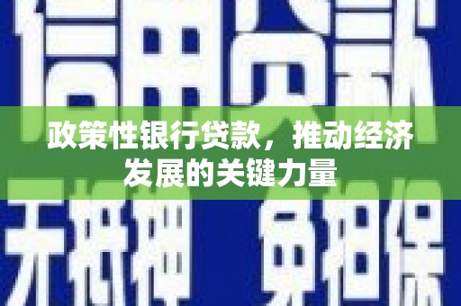 武威政策性银行贷款，推动经济发展的关键力量