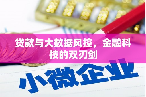 武威贷款与大数据风控，金融科技的双刃剑