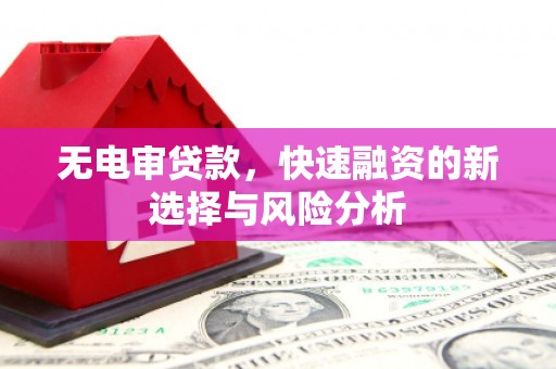 武威无电审贷款，快速融资的新选择与风险分析
