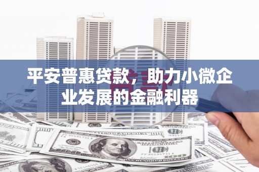 武威平安普惠贷款，助力小微企业发展的金融利器
