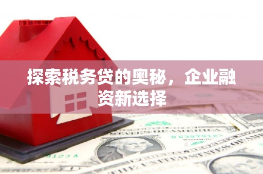武威探索税务贷的奥秘，企业融资新选择