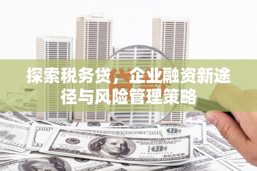 武威探索税务贷，企业融资新途径与风险管理策略
