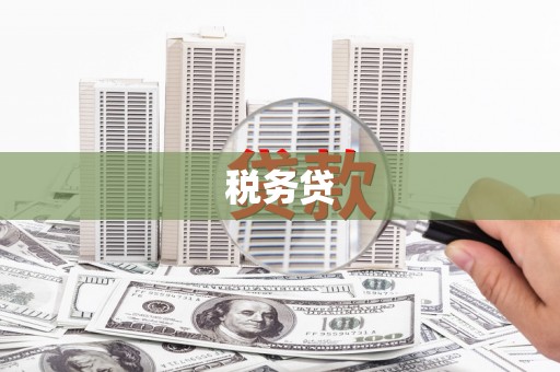 武威税务贷