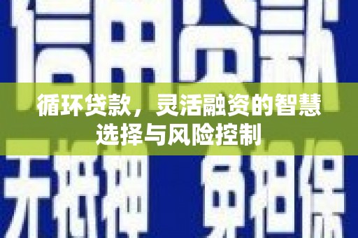 武威循环贷款，灵活融资的智慧选择与风险控制