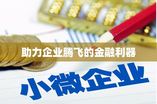 武威助力企业腾飞的金融利器