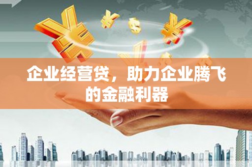 武威企业经营贷，助力企业腾飞的金融利器