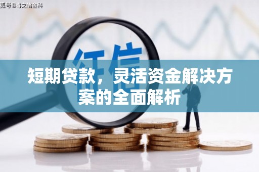 武威短期贷款，灵活资金解决方案的全面解析