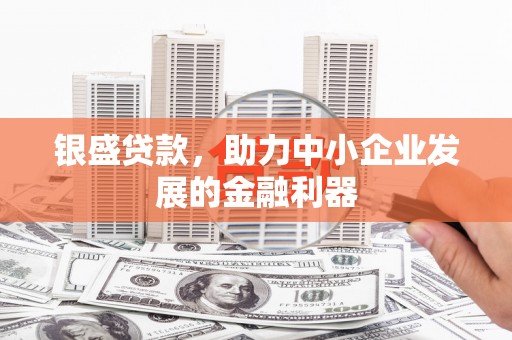 武威银盛贷款，助力中小企业发展的金融利器