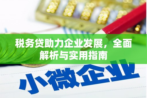 武威税务贷助力企业发展，全面解析与实用指南