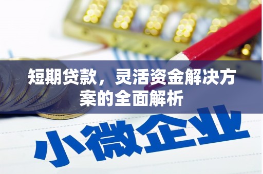 武威短期贷款，灵活资金解决方案的全面解析