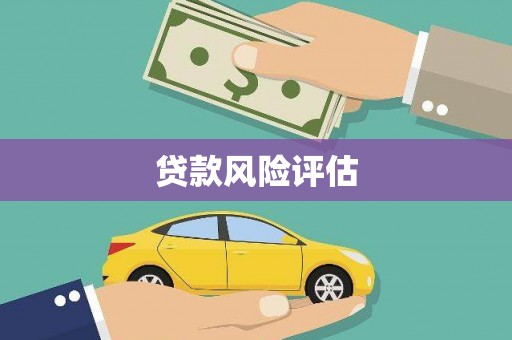 武威贷款风险评估