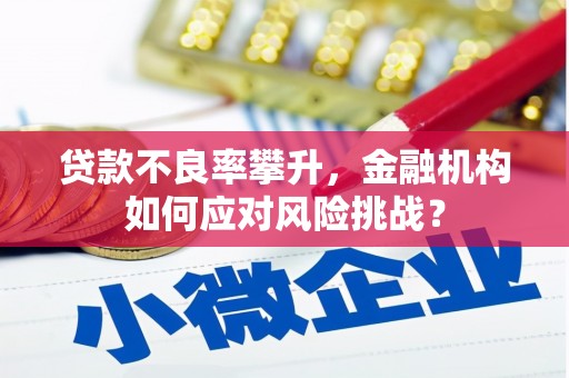 武威贷款不良率攀升，金融机构如何应对风险挑战？