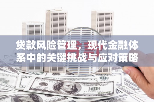 武威贷款风险管理，现代金融体系中的关键挑战与应对策略