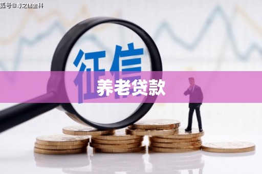 武威养老贷款