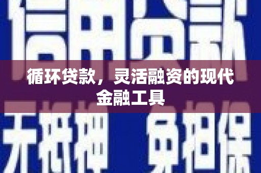 武威循环贷款，灵活融资的现代金融工具