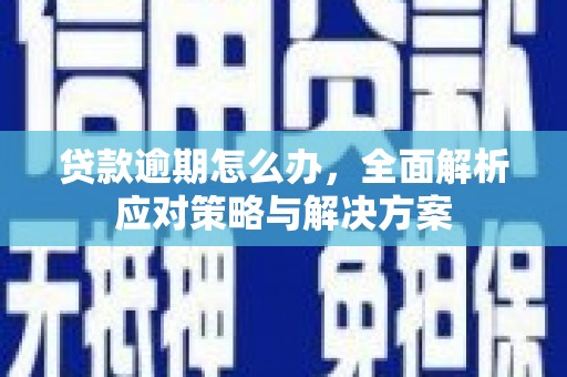 武威贷款逾期怎么办，全面解析应对策略与解决方案