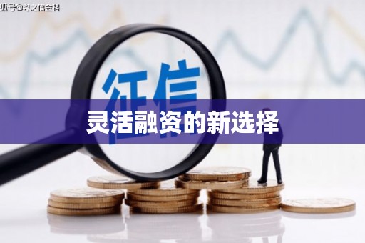 武威灵活融资的新选择
