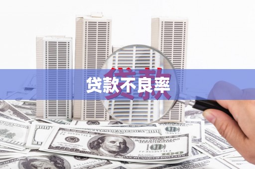 武威贷款不良率