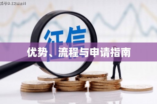武威优势、流程与申请指南