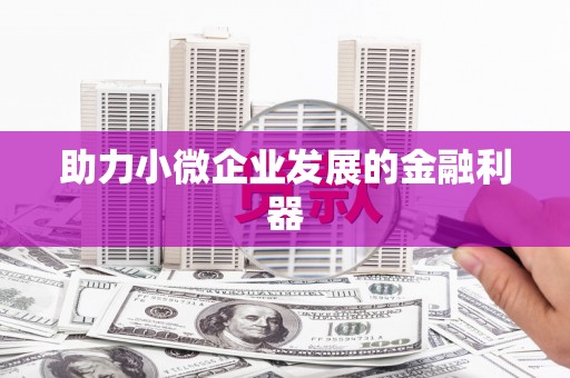 武威助力小微企业发展的金融利器
