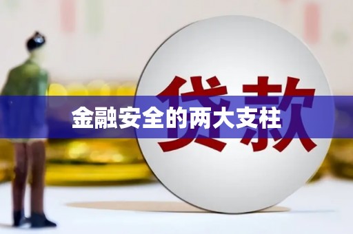 武威金融安全的两大支柱