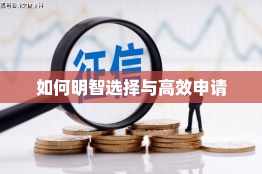 武威如何明智选择与高效申请