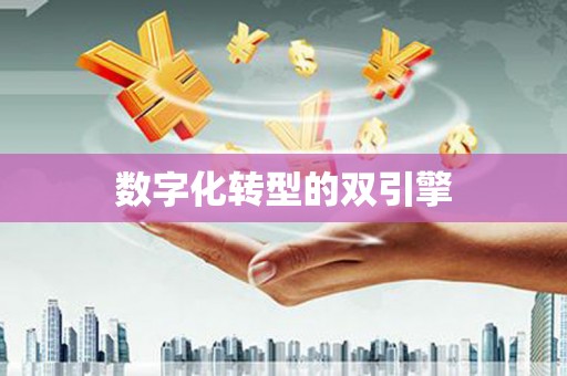 武威数字化转型的双引擎