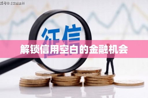 武威解锁信用空白的金融机会