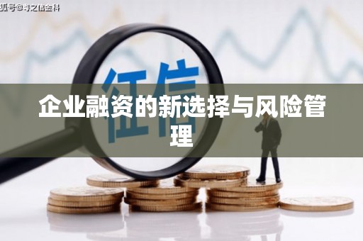 武威企业融资的新选择与风险管理