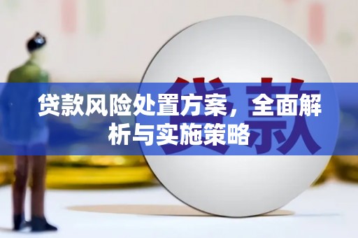 武威贷款风险处置方案，全面解析与实施策略